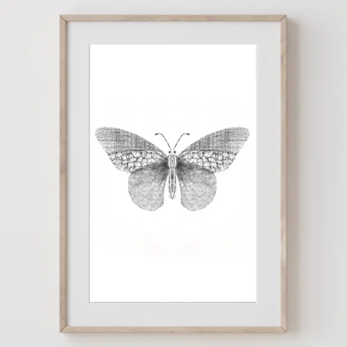 Meral Bilkay Art & Design Studio - Butterfly 03 Fine Art Printing