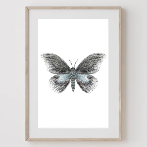 Meral Bilkay Art & Design Studio - Butterfly 04 Fine Art Printing