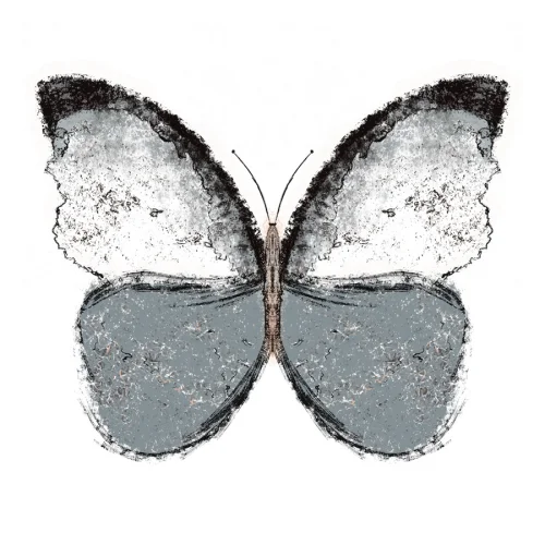 Meral Bilkay Art & Design Studio - Butterfly 05 Fine Art Printing