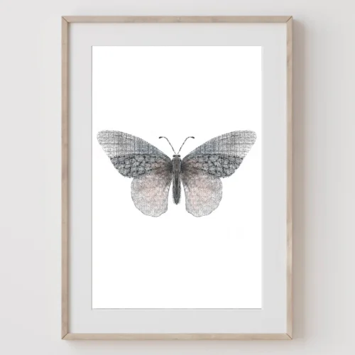 Meral Bilkay Art & Design Studio - Butterfly 06 Fine Art Printing