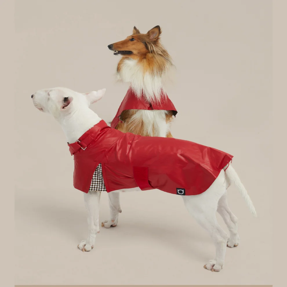 Coucou - Sethos Raincoat