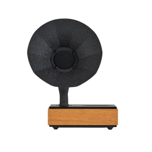 Natural Collection Oak Speaker
