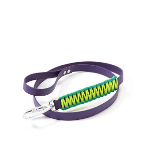 Rainbow Dog Leash