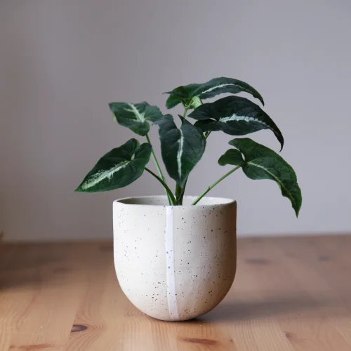 Stoneware Seramik Saksı-44