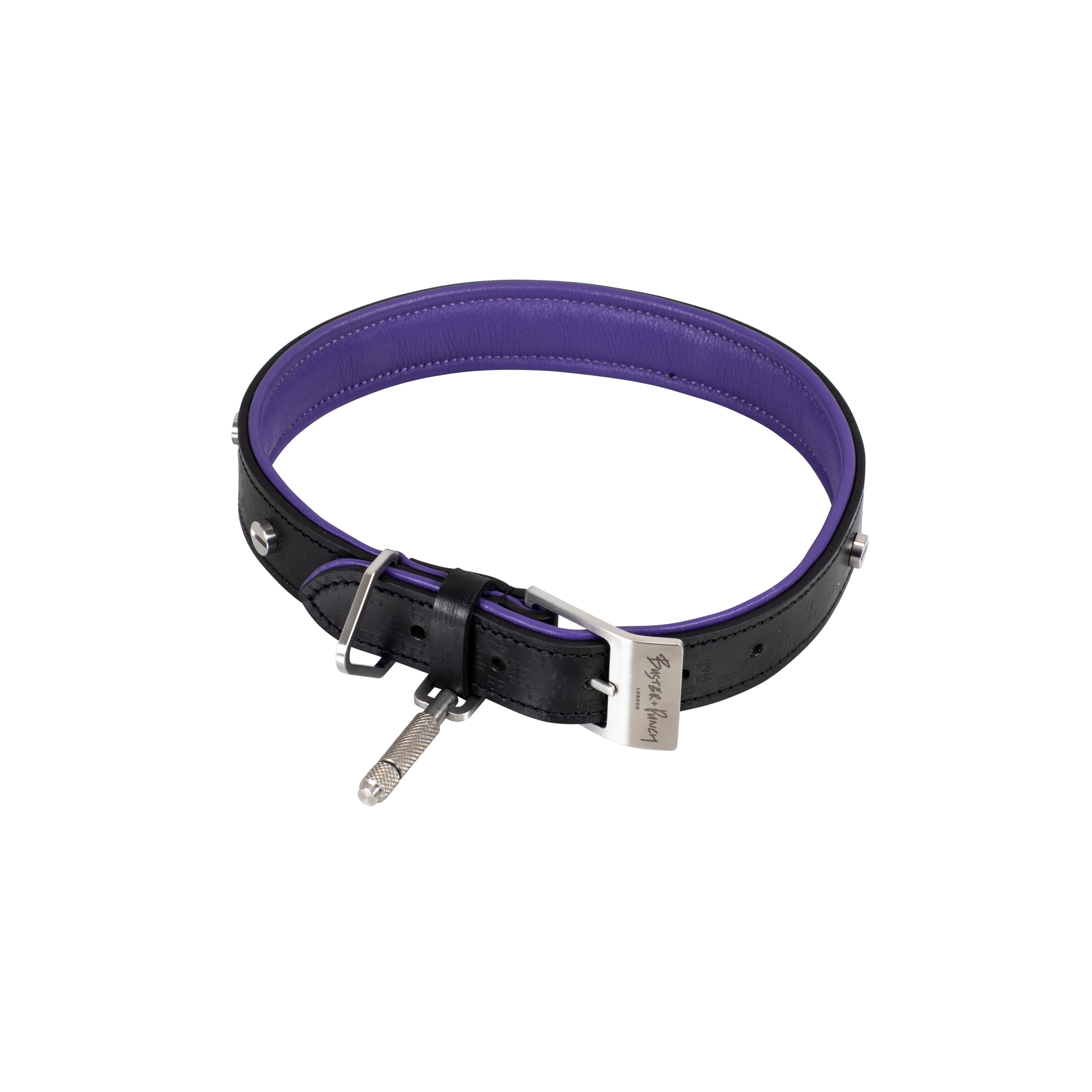 Dog Collar Steel