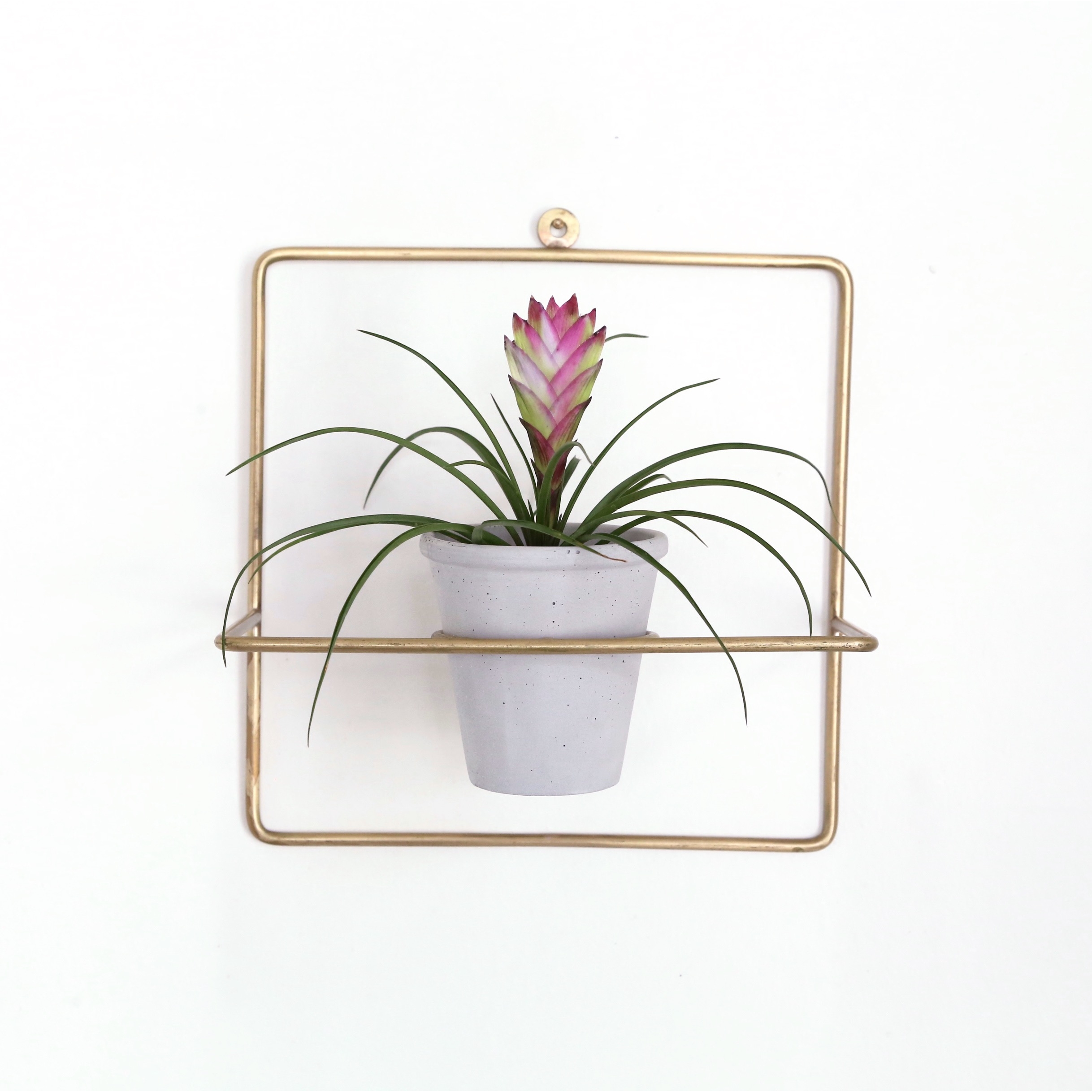 Brass Pot Frame