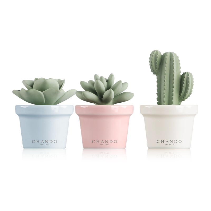 Room Fragrance Cactus 3 Piece