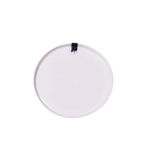 Porcelain Dinner Plate Cool