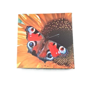 Ölçülerinde Kelebek Pilli Ledli Tablo 30x30cm 75037